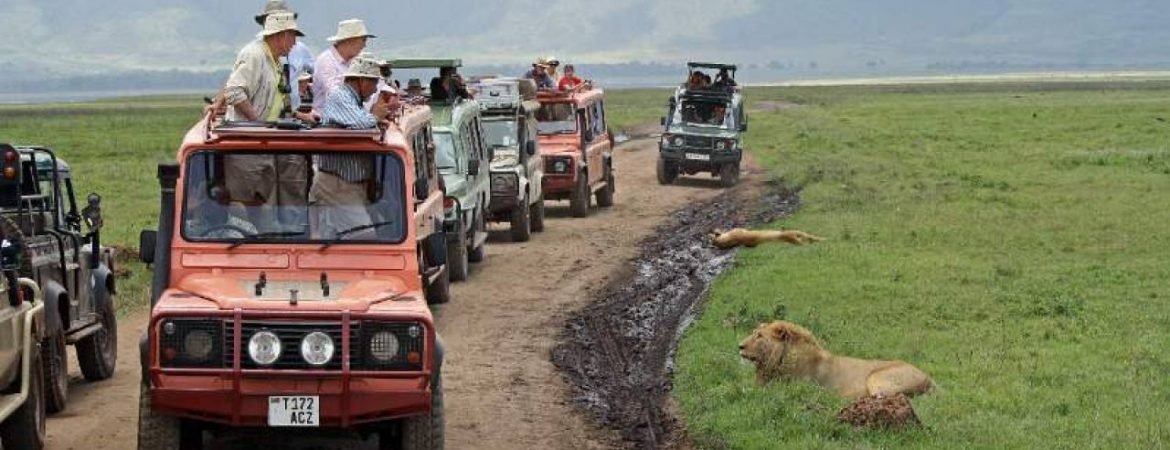 DaysSerengetiNgorongorocratersafarisx